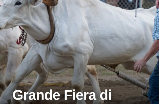 A Nibbiano torna la Grande Fiera il 18 agosto