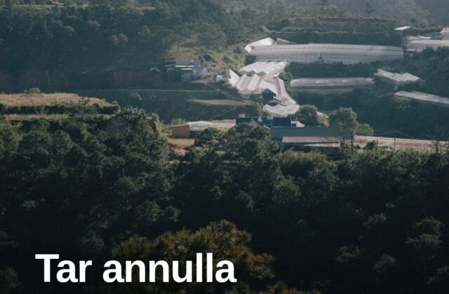 Riccione, il Tar boccia il Comune sulle serre agricole