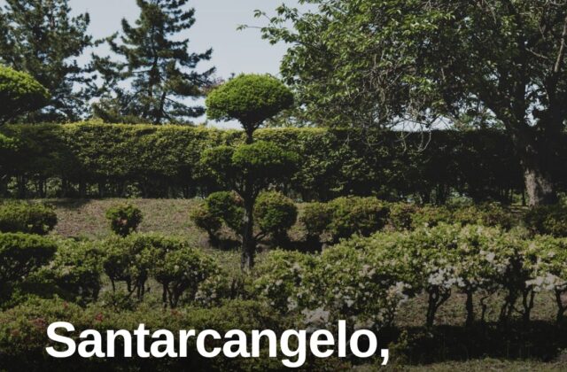 Santarcangelo, parte il piano potature per il verde pubblico