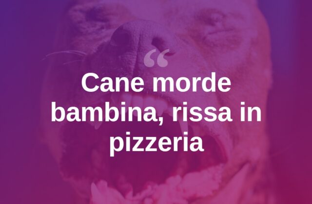 Cane morde bimba al volto in pizzeria, rissa tra i presenti