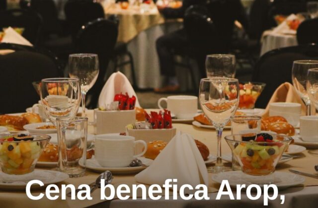 Rimini, 200 persone alla cena benefica per i bimbi malati Arop