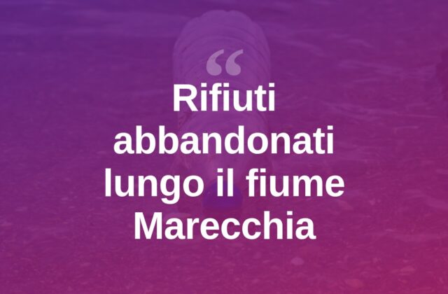Rifiuti abbandonati lungo il Marecchia, torna il degrado