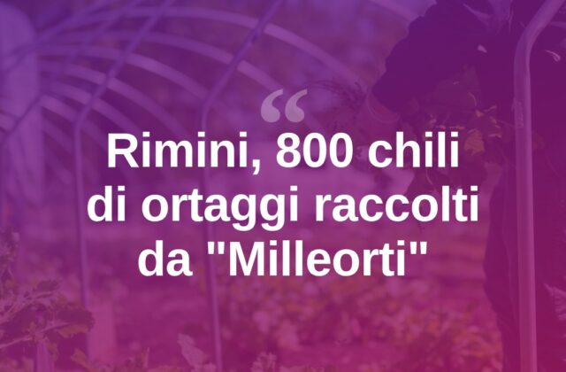 Rimini, 800 chili di ortaggi raccolti da “Milleorti per il Turismo”
