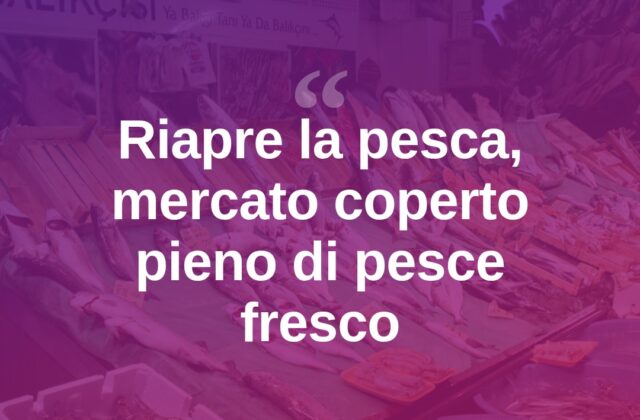 Riapre la pesca, banchi del mercato coperto pieni di pesce fresco
