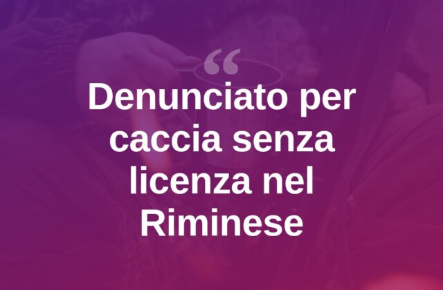 Cacciava senza licenza né porto d’armi: denunciato nel Riminese