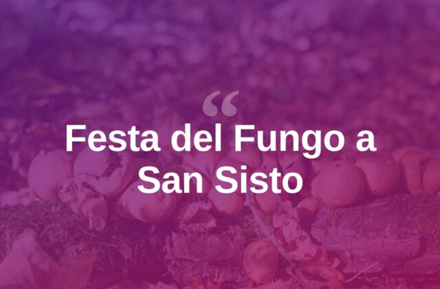 San Sisto, torna la Festa del Fungo: quattro giorni di eventi