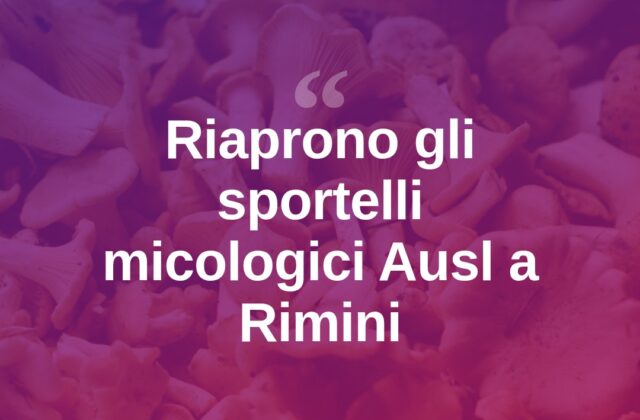 Raccolta funghi, l’Ausl riapre gli sportelli micologici