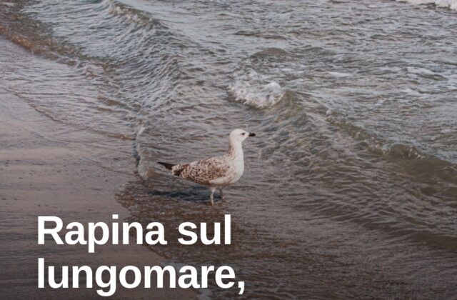 Rapina sul lungomare di Rimini, individuati due presunti autori