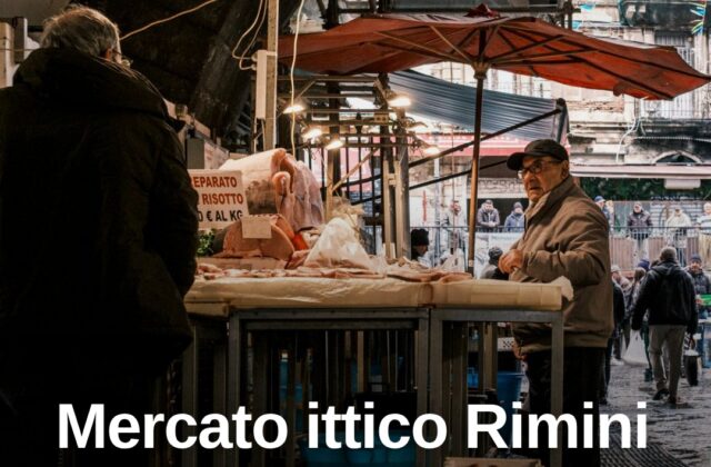 Mercato ittico di Rimini, affidata la gestione ponte