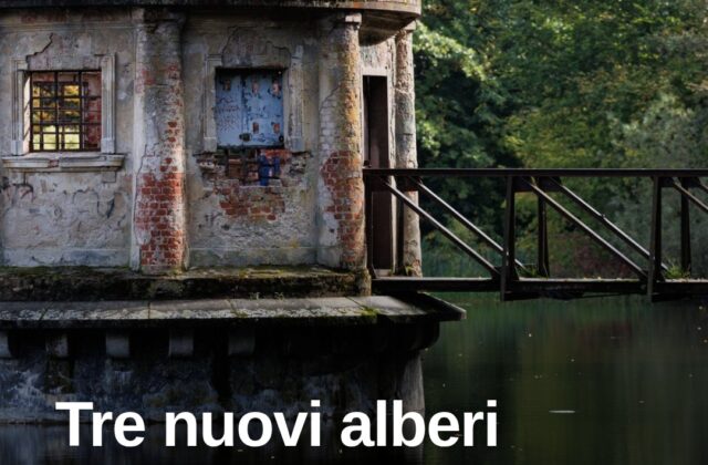 Pennabilli, tre nuovi “Signori Alberi” al Lago Andreuccio