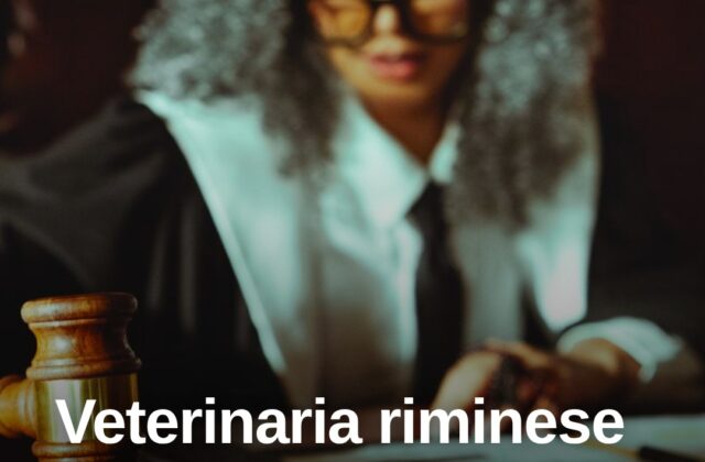Crans-Montana, veterinaria riminese: “Indennità a Moretti una beffa”