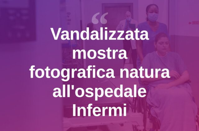 Rimini, vandalizzata la mostra fotografica sulla natura agli Infermi