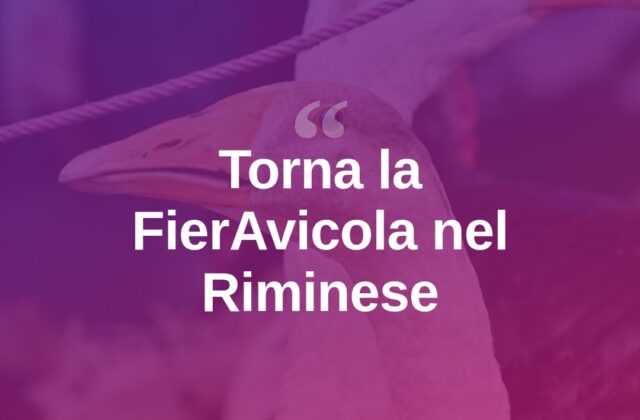 Torna la FierAvicola, evento dedicato all’avicoltura nel Riminese