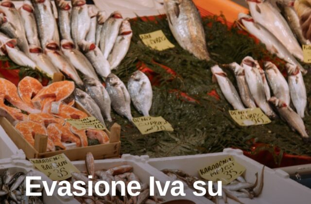 Pesce a prezzi stracciati: evasione Iva, indagine arriva a Rimini