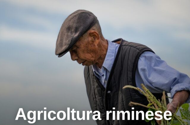 Agricoltura in crisi a Rimini: clima estremo e prezzi al collasso