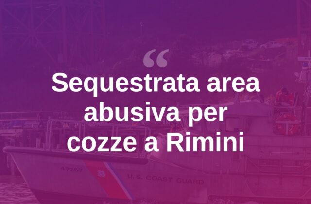 Finanza, bilancio estivo in mare: sequestrata area per miticoltura