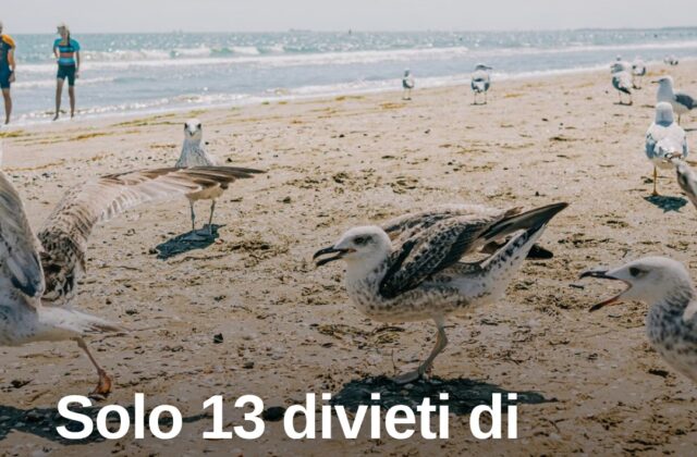 Rimini, solo 13 divieti di balneazione in tutta l’estate