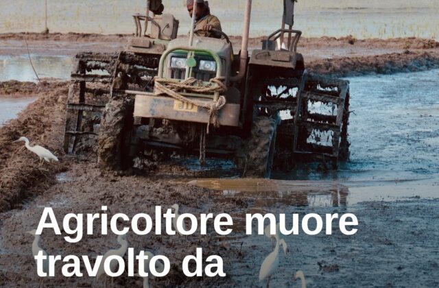 Rimini, agricoltore di 73 anni muore travolto dal rimorchio del trattore