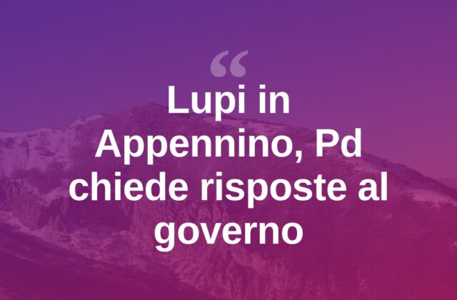 Lupi in Appennino, il Pd chiede strumenti efficaci al governo