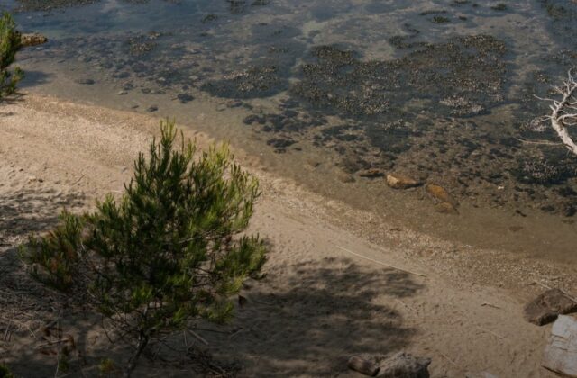 Cattolica ripensa il turismo: oltre sole, mare e lettino