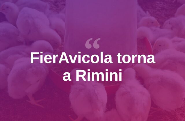 FierAvicola torna a Rimini: il settore avicolo in mostra