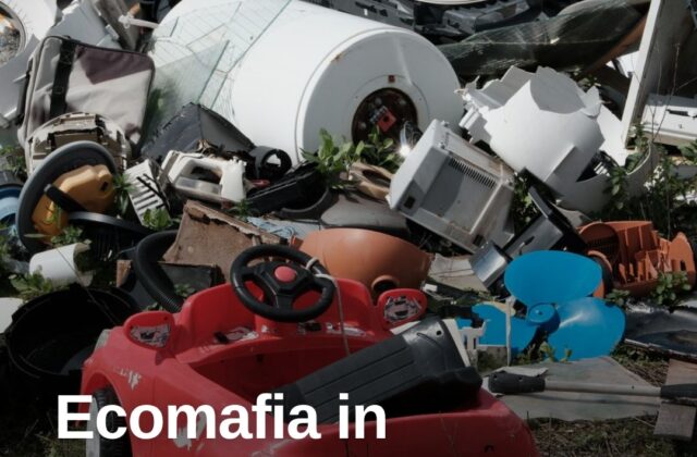 Ecomafia in Romagna: rifiuti illegali, abusi edilizi e zoo clandestini