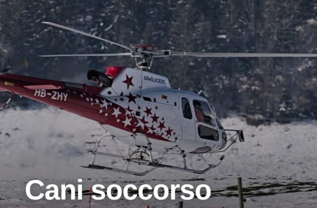 Cani da soccorso in volo: esercitazione all’aeroporto di Rimini
