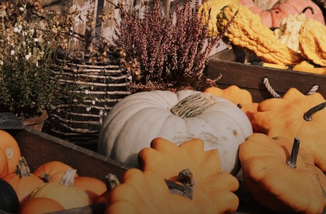 Halloween 2026 più caro: rincari del 9,6% anche a Rimini